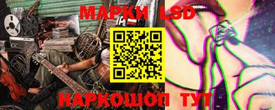 apvp Обь