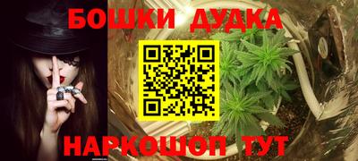 apvp Обь